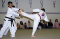 /album/fotogaleria/a800px-taekwondo1-jpg1/